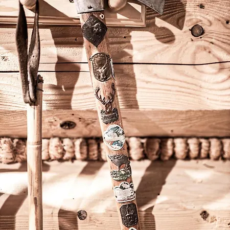 Villa Visitzakopane - House