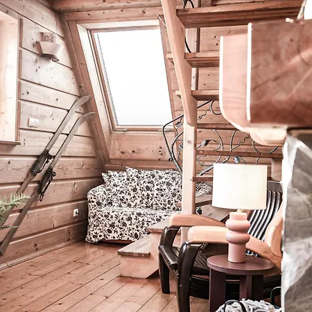Vila Visitzakopane - House Zakopane