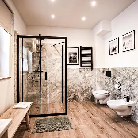 Visitzakopane - House ヴィラ ザコパネ