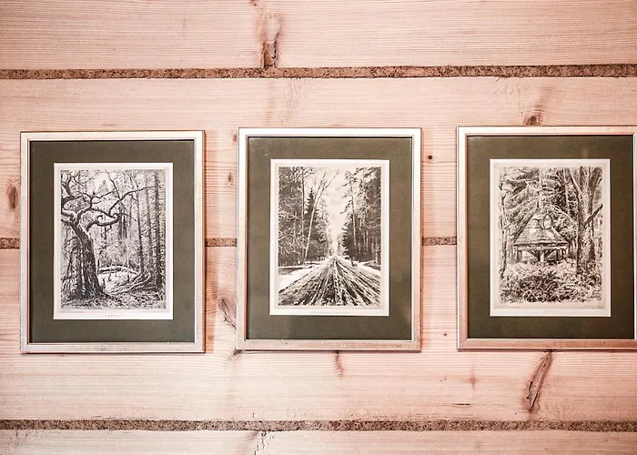 Visitzakopane - House فيلة