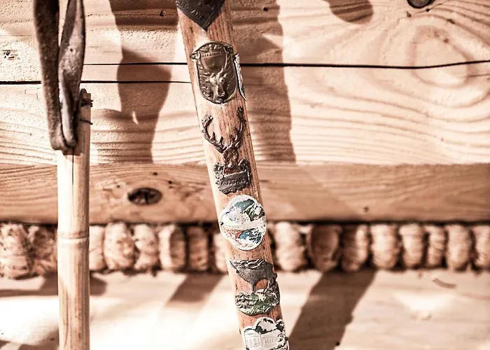 فيلة Visitzakopane - House